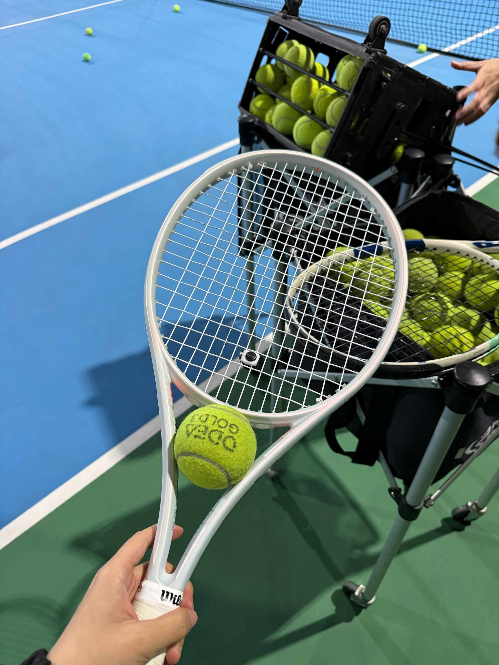 激动不已 激动不已